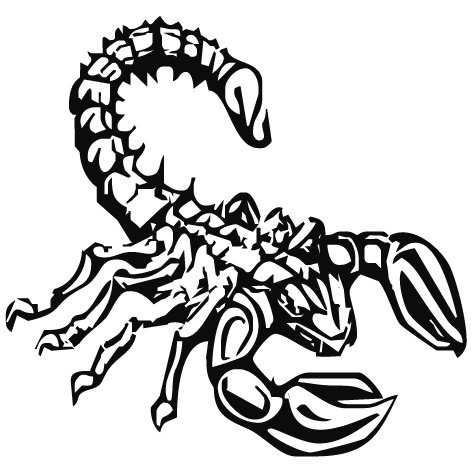Sticker scorpion